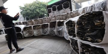 Hong Kong Customs Seizes 4.2 Tonnes of Endangered Shark Skin in Record-Breaking Bust
