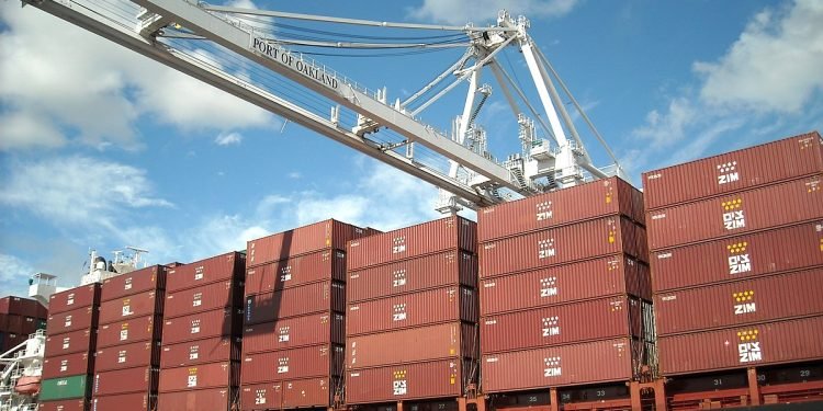 ZIM Integrated Shipping Services (ZIM) Rises Amid Market Downturn
