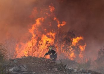 Chile in Flames: Unyielding Battle Against Wildfires Takes Grim Toll