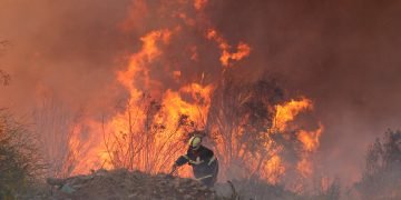 Chile in Flames: Unyielding Battle Against Wildfires Takes Grim Toll