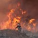 Chile in Flames: Unyielding Battle Against Wildfires Takes Grim Toll