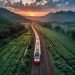 China-Europe Railway Express: Driving Trade Growth and Logistics Evolution