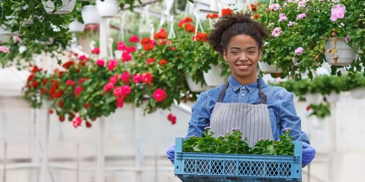 Logistics: A Strategic Edge for African Perishables and Flowers