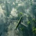 Airlines Announce Collaboration on Biofuel Initiative
