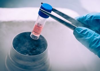 Third-Party Logistics Scramble for Cold Chain Pharma Market Share