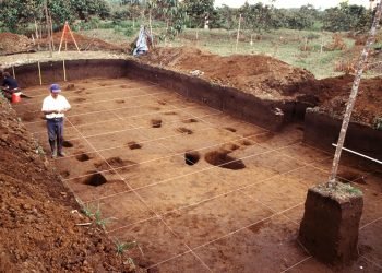 Ancient City Unearthed in Amazon Rainforest: Archaeologists Marvel at Untouched Metropolis
