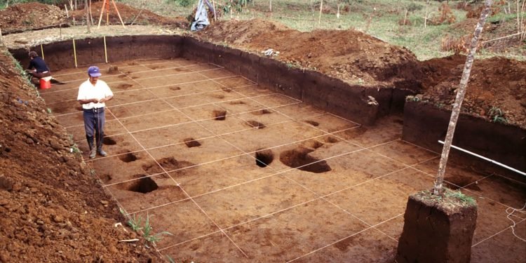 Ancient City Unearthed in Amazon Rainforest: Archaeologists Marvel at Untouched Metropolis