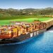Ocean Carrier MSC Announces Record Profits Amidst Industry Concerns Over Rising Costs