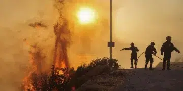 Heatwave Scorches Europe: Wildfires Rage, Temperatures Shatter Records