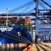 HMM Expands its Fleet with Mega-Containerships