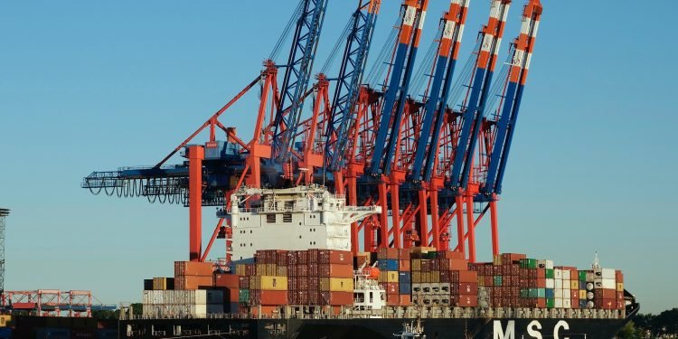 Mediterranean Shipping Company (MSC) Expands Fleet Amid High Market Volatility