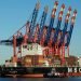 Mediterranean Shipping Company (MSC) Expands Fleet Amid High Market Volatility