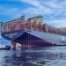 MSC Integrates LNG-Powered Vessels to Reduce Carbon Emissions in Ocean Freight