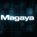 Magaya Launches AI-Driven Warehouse Management System for Enhanced Efficiency