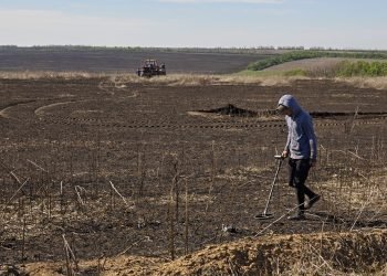 Ukraine’s Agricultural Sector: Innovating Logistics Amid Conflict