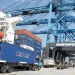 Northport Breaks Annual Cargo Records for 2024