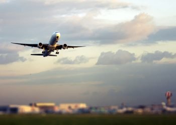 Air Cargo Market Set for 50% Decline in 2025