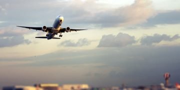 Air Cargo Market Set for 50% Decline in 2025