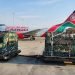 Top 10 Logistics Companies in Kenya