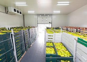 Smart Food Logistics Market Set to Surpass $23 Billion by 2029, Driven by Technological Advancements