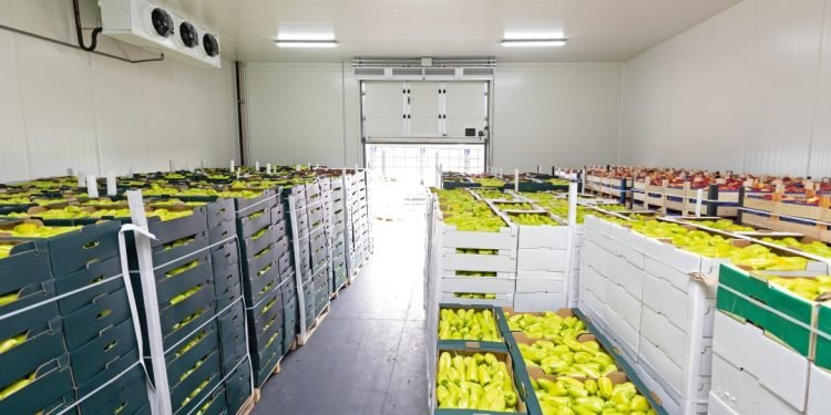 Smart Food Logistics Market Set to Surpass $23 Billion by 2029, Driven by Technological Advancements