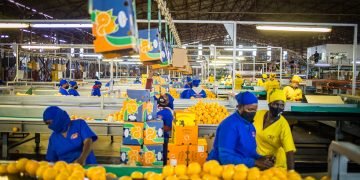 Zimbabwe’s Fresh Produce Exports in Jeopardy as Air Cargo Capacity Shrinks