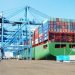 Damietta Container & Cargo Handling Company Sets Record in 2024