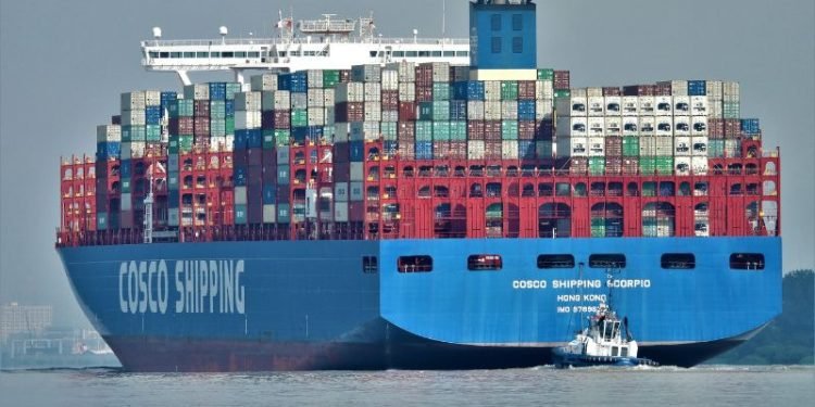 Top 5 Shipping Alliances Driving Global Trade Efficiency