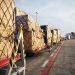 Growth and Transformation: The Future of Freight Forwarding in 2025