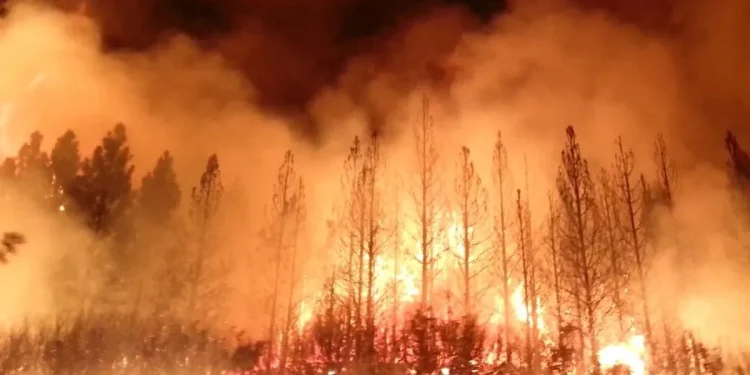 Impact of California’s Recent Wildfires on Logistics and Supply Chains