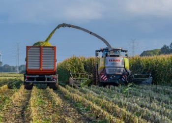 MMG Limited and Minmetals Logistics Forge Strategic Shipping Framework Agreement