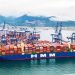 HMM and Pan Ocean Report Record Profits Amid Surging Freight Rates