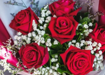 Blooming Business: Air Cargo Soars as Valentine’s Day Flower Demand Peaks