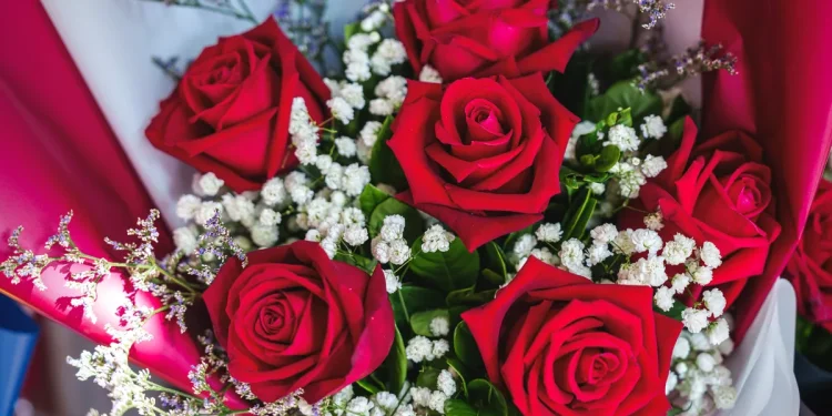 Blooming Business: Air Cargo Soars as Valentine’s Day Flower Demand Peaks