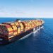 India and MSC Explore New Frontiers in Shipping & Logistics