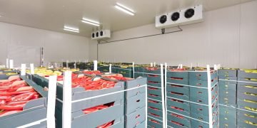 Cold Chain Warehousing and Logistics Market Poised for Significant Growth