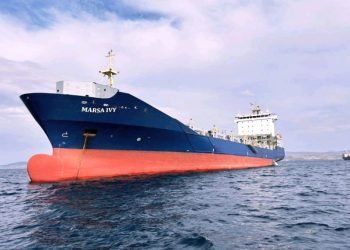 Marsa Ocean Shipping Expands Fleet with Two New Container Vessels