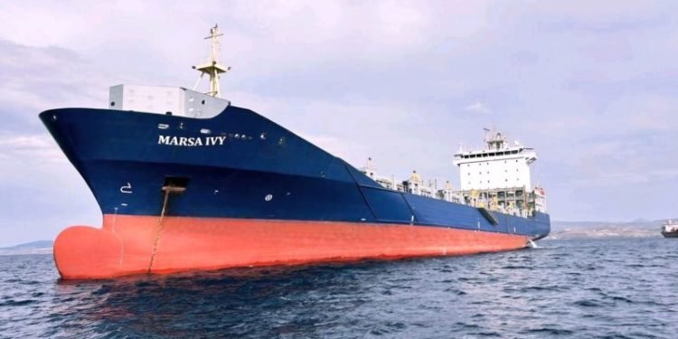 Marsa Ocean Shipping Expands Fleet with Two New Container Vessels