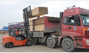 Jiangsu Wanlin Modern Logistics Faces Financial Challenges Despite Low Debt Levels