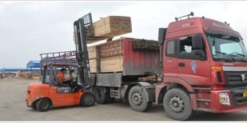 Jiangsu Wanlin Modern Logistics Faces Financial Challenges Despite Low Debt Levels