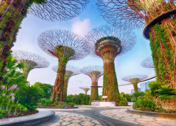 Exclusive Feature: GREENLANE SC PTE LTD Sets New Standards in Global Freight and Supply Chain Solutions