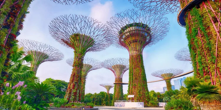 Exclusive Feature: GREENLANE SC PTE LTD Sets New Standards in Global Freight and Supply Chain Solutions