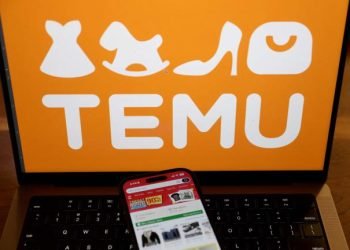 Temu Expands in Korea with First Logistics Hub