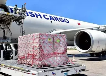 TURKISH CARGO BREAKS RECORDS: Fastest-Growing International Cargo Airline Recognized by STAT Trade Times