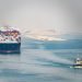 Turning Point for Egypt’s Project Cargo Amid Political and Infrastructure Turmoil