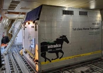 Precision and Care: Magma Aviation and Intradco Global Successfully Transport 34 Endurance Horses