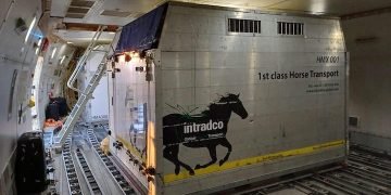 Precision and Care: Magma Aviation and Intradco Global Successfully Transport 34 Endurance Horses