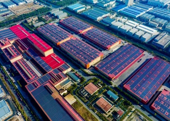 Exclusive Report: How Sustainability is Transforming the Global Supply Chain Industry