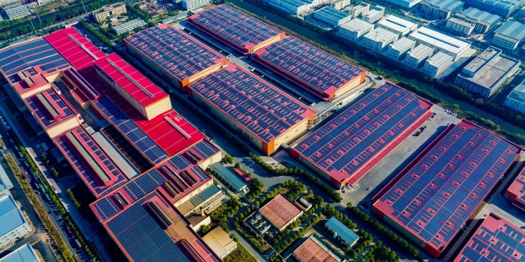 Exclusive Report: How Sustainability is Transforming the Global Supply Chain Industry