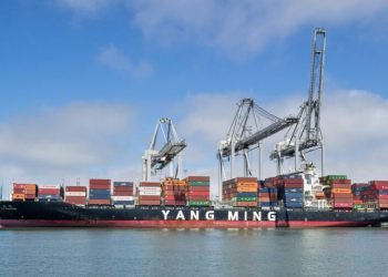 Yang Ming Marine Transport Corp. Hits Historic $7 Billion Revenue in 2024